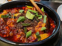 -陈麻婆豆腐(旗舰店)