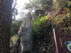 -北京鹫峰国家森林公园