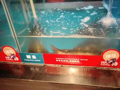 -鱼酷活鱼烤鱼(人信汇商场店)