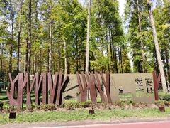 -黄海国家森林公园