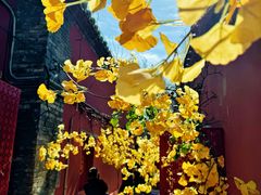 -潭柘寺景区