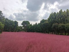 -南湖湿地公园