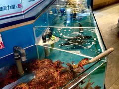 -鼎原力量东北吊炉烧烤(幸福街店)