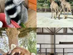 -水上乐园·欢乐世界