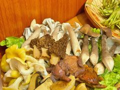 -阿山卓·野生菌火锅·纳西火塘烤肉