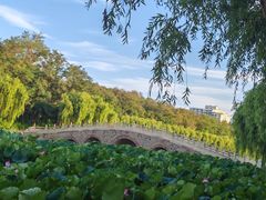 -南戴河国际娱乐中心