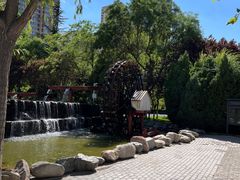 -水车博览园