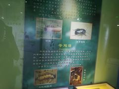 -上海昆虫博物馆
