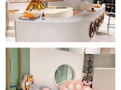 -柴务处·柴犬主题狗咖