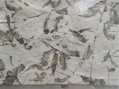 -房山世界地质公园博物馆