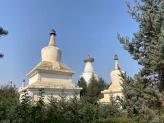-凉州白塔寺景区