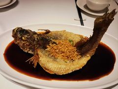 -茉里粤菜(皇姑万象汇店)