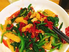 -西粉堂新疆米粉(朝外店)