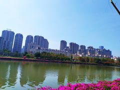 -光明港公园
