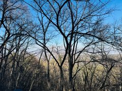 -帽儿山国家森林公园