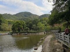 -广州市帽峰山景区