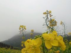 android_upload_pic-广州市石门国家森林公园