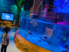 -沈阳海洋探索中心