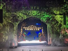 -广州长隆国际大马戏