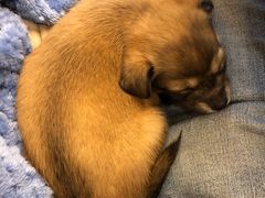 -畜牧兽医站(共江路店)