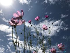 -亿利库布其七星湖沙漠生态旅游区