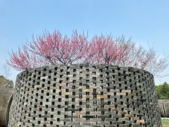 -武汉园博园(武汉自然博物馆)