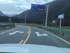 -冰沟林海