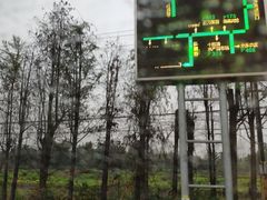 -南沙十九涌渔人码头-南门