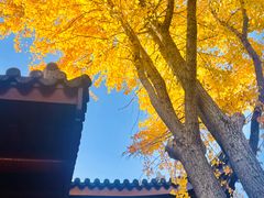-西林禅寺