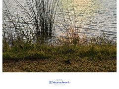 -湖泉半山温泉(湖泉生态园)