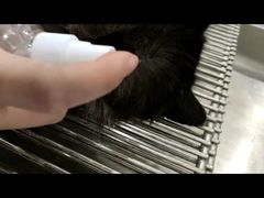 -萌兽医馆·犬猫专科·眼科中心·宠物医院(朝阳门分院)