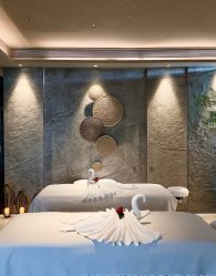 -VELEE·SPA高定疗愈会所