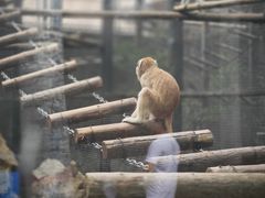 -石家庄极地海洋世界