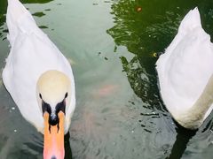 -昆明动物园