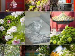 -故宫博物院(故宫)