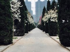 -郑州烈士陵园(二七区)