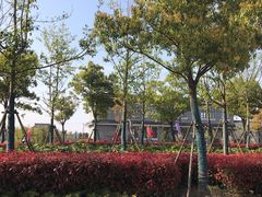 -菊园百果园