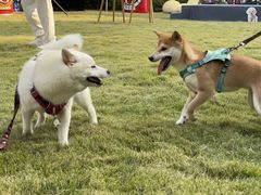 -上海神旺大酒店