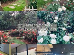 -顺德职业技术大学
