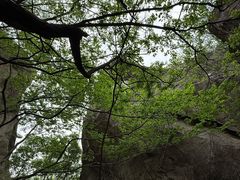 -秦岭终南山世界地质公园翠华山景区