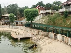 -北京鹿世界主题园