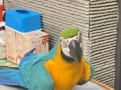 -观桥阁(锦溪店)