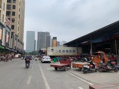 -海吉星市场