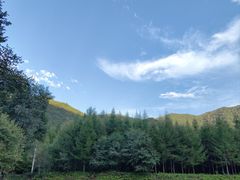 -龙道沟景区