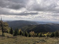 -芦芽山旅游度假区