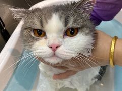 -PETKIT小佩宠物·低压洗护(国顺东路店)