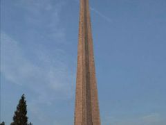 -合肥滨湖国家森林公园