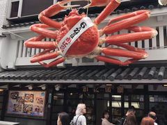 门面-蟹道乐(道顿堀本店)