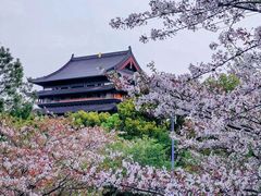 -阳澄湖半岛旅游度假区