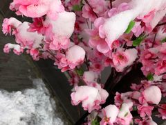 -口岸雕花楼